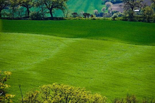 Panorama rurale marchigiano in primavera