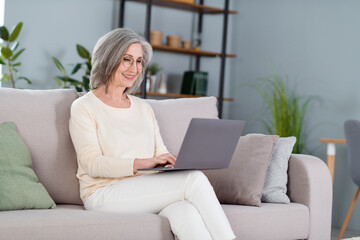 Profile portrait of positive charming person sit on sofa look use laptop write message working from home indoors