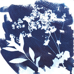 Wildflowers cyanotype, blueprint, sunprint, indigo flower illustration