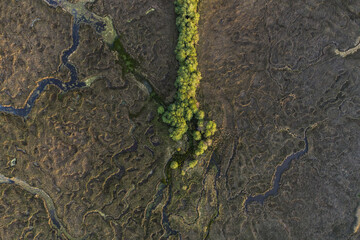 el fluir del río