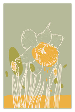 recommend clip art: Abstract line art of daffodil flower with color splats. Daffodil contour drawing. Minimal flower illustration.