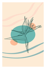 Abstract line art of tropical flower with color splats. Strelitzia contour drawing. Minimal flower illustration.