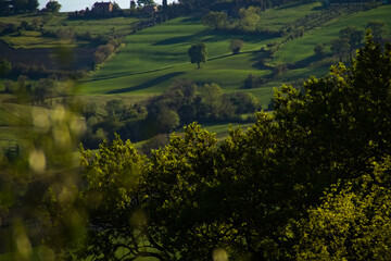 Panorama rurale marchigiano in primavera