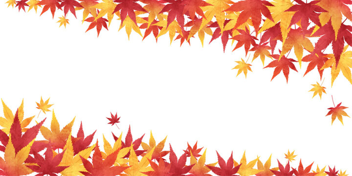 1 116 711 最適な もみじ 画像 ストック写真 ベクター Adobe Stock