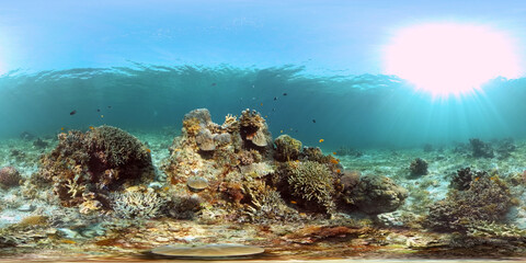 Naklejka na ściany i meble Tropical fishes and coral reef at diving. Underwater world with corals and tropical fishes. Philippines. Virtual Reality 360.