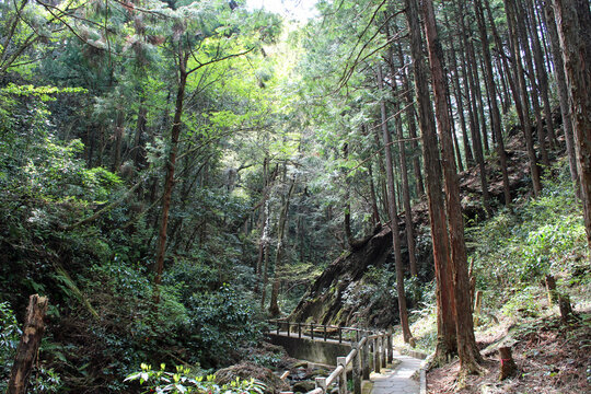毛呂山　宿谷地内　埼玉