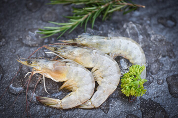 Raw shrimps prawns on ice and dark background, Fresh shrimp with herbs and spice rosemary