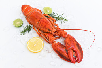 Fresh lobster food on white plate background, Red lobster dinner seafood with herb spices lemon rosemary on ice in the restaurant gourmet food healthy boiled lobster cooked