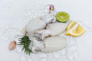 Seafood squid on ice for cooking food in the restaurant, Fresh raw octopus cuttlefish ocean gourmet with lemon and rosemary on white plate