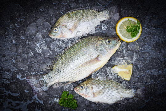 Tilapia fish freshwater for cooking food in the asian restaurant, Fresh raw tilapia from farm on ice market food with herb and spices lemon , Fresh fish