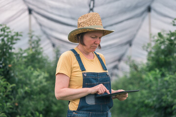 Female farmer using tablet computer in organic apple fruit orchard