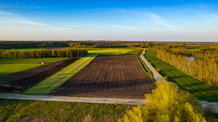 Fototapeta premium Aerial view with a drone of a spring wavy agricultural countryside landscape with plowed and unplowed fields and trees in the blue evening sky. High quality photo