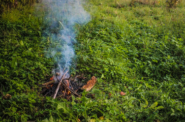 Campfire burning in the forest, hiking concept, small fire near camp in the summer, dangerous fire...