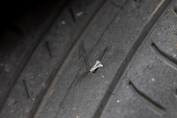nail on car rubber tyre background and texture. car service concept.