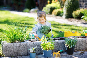 Adorable little toddler girl holding garden shovel with green plants seedling in hands. Cute child...