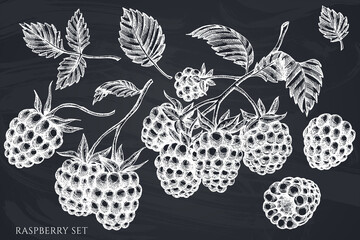 Vector set of hand drawn chalk raspberry
