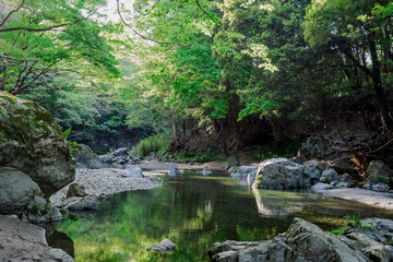 森の緑が反射する渓谷／入間川・吾妻峡（埼玉県飯能市）