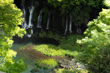 Fototapeta na wymiar 静岡　白糸の滝