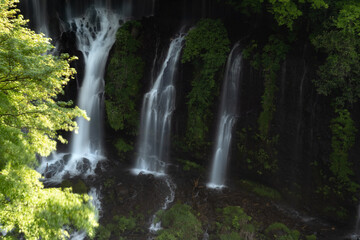 Obraz premium 静岡 白糸の滝