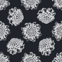 Seamless pattern with hand drawn chalk etlingera