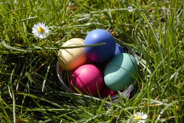 colorful easter eggs with green grass in background 