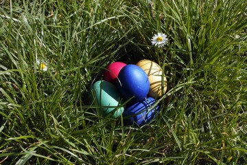 colorful easter eggs with green grass in background 