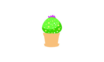 A small green cactus that sits beautifully on top of a pot.