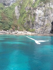 透明度の高い海