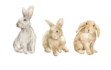 Watercolor rabbits, cute forest animals, fluffy easter bunny isolated on white. Farm pets