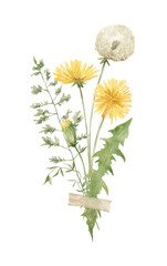 Watercolor bouquet with dandelion flowers, fern, branch and leaves. Floral arrangement, bouquet. Decoration for card, invitation, greeting