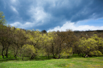 Beautiful rural landscape in Europe, Amazing nature in spring. landscape with green grass field and blue sky with clouds with curved horizon line.