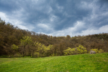 Fototapeta premium Beautiful rural landscape in Europe, Amazing nature in spring. landscape with green grass field and blue sky with clouds with curved horizon line.