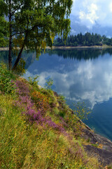 Relaxing mountain lake shore