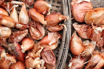 Red onion spice asia on old wood background or texture