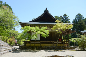新緑の神護寺　五大堂　京都市高雄