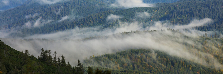 Carpathian mountains panorama