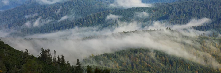 Foto op Plexiglas Carpathian mountains panorama © Galyna Andrushko