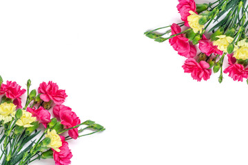 Fototapeta premium bouquet of pink, yellow carnation flower isolated on white background Top view Flat lay Holiday card 8 March, Happy Valentine's day, Mother's, Memorial, Teacher's day concept Copy space 