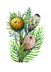 Tropical palm leaves and exotic protea flowers in a bouquet. Botanical composition of plants on a white background. Hand drawn watercolor for cards, wedding invitations, postcards, print, banner.