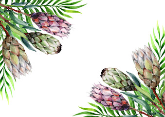 Fototapeta premium Tropical palm leaves and exotic protea flowers. Botanical composition of plants in a corner frame on a white background. Hand drawn watercolor.