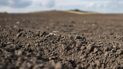Terreno seco