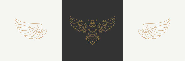 Magic linear wings of nocturnal wild owl in boho linear style vector illustrations set.