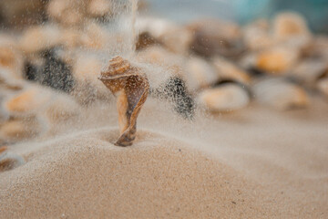 multicolored river seashells lie chaotically on the sand next to the sea. Macro photography. Close-up background concept, copy space
