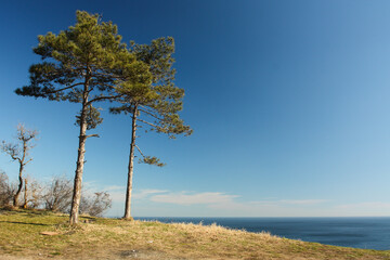 Obraz premium Summer landscape with wooded cliffs by the sea. Black Sea. Southern coast of Crimea