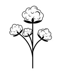 Cotton isolated. Clap flower. Cottons Inflorescence vector illustration