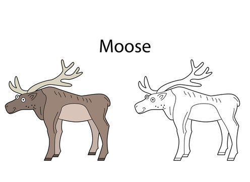 Funny cute animal moose isolated on white background. Linear, contour, black and white and colored version. Illustration can be used for coloring book and pictures for children