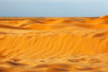 Fototapeta na wymiar Sandy desert and blue sky in summer day