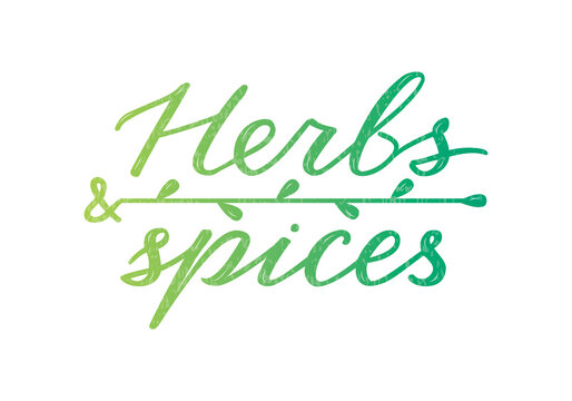 Vector illustration of herbs and spices lettering for banner, poster, spice shop advertisement, signage, catalog, product design. Creative handwritten text for web or print
