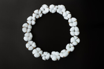 Circle of cotton flowers on black steel and paper background. Ideal for organic natural cotton based products. top view