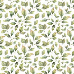 Seamless pattern with watercolor hand painted leaves. Botanical wallpaper